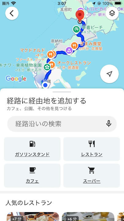 iOS Google Maps