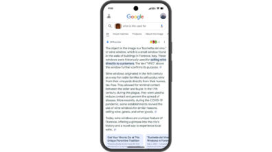 AI Overview