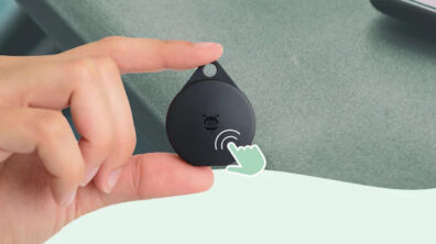 Pebblebee