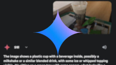 Gemini
