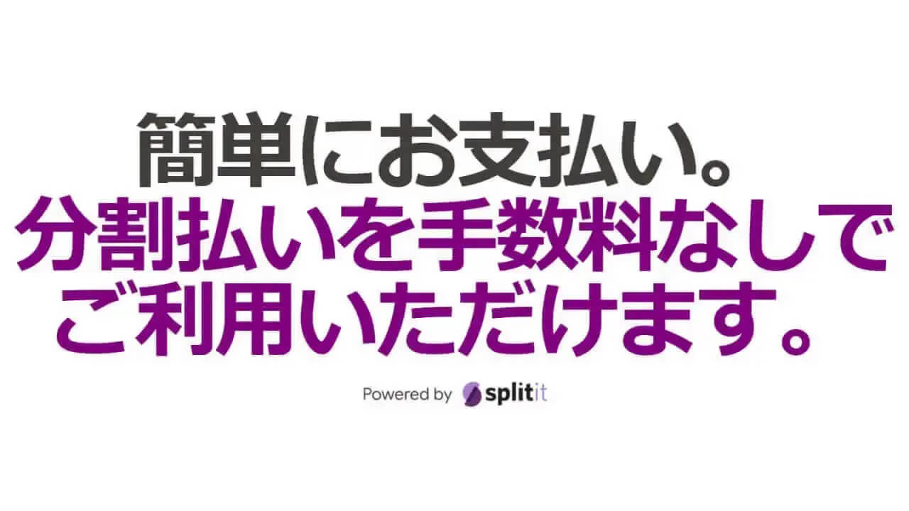 良かった。「Googleストア」分割払い早期復活