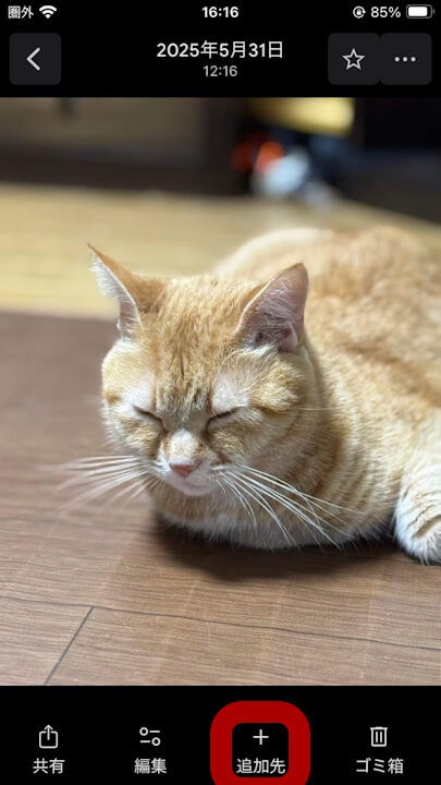 iOS Google Photos