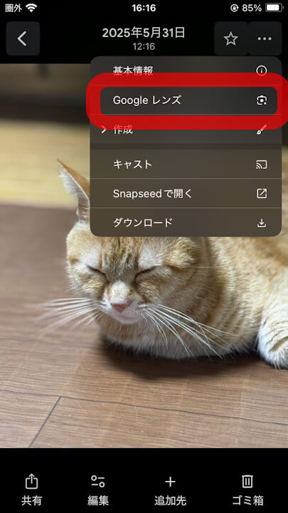 iOS Google Photos