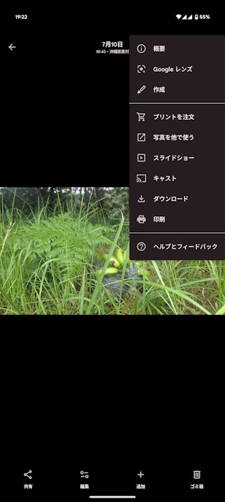 Android Google Photos