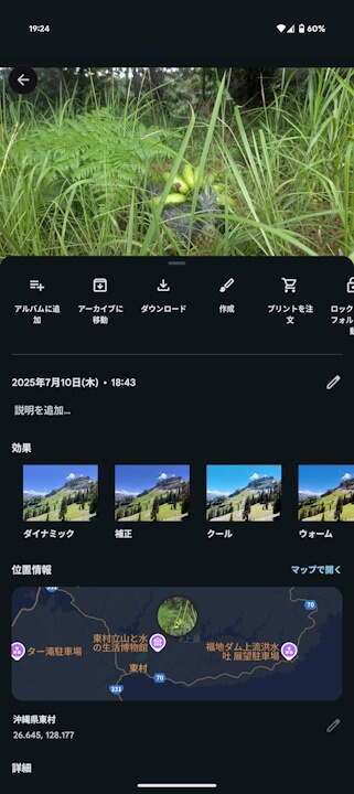 Android Google Photos