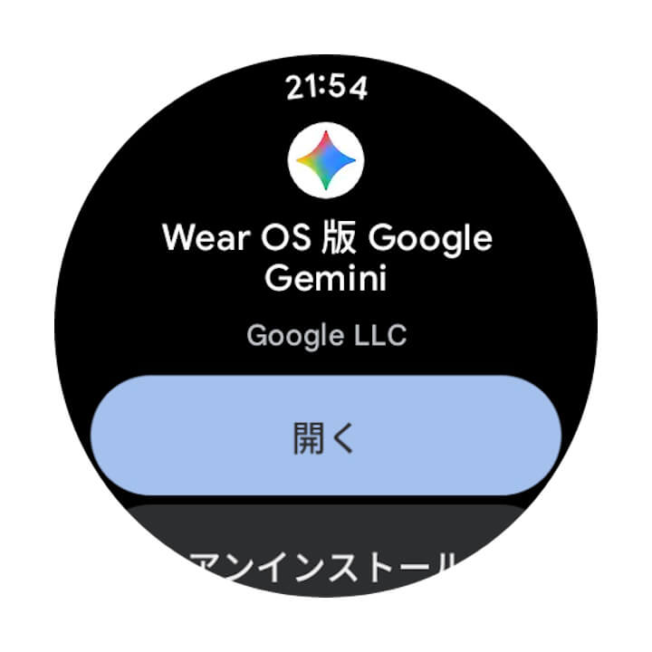 com.google.android.wearable.assistant