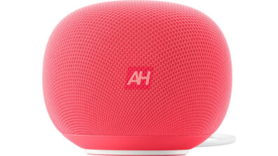Gemini Google Home