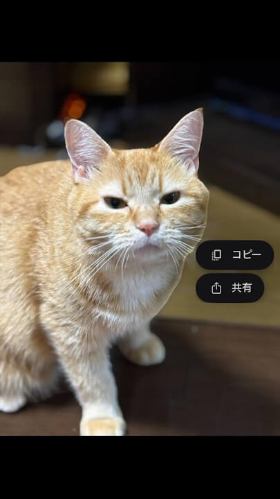 iOS Google Photos