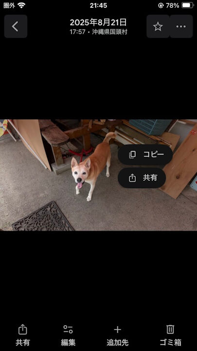 iOS Google Photos