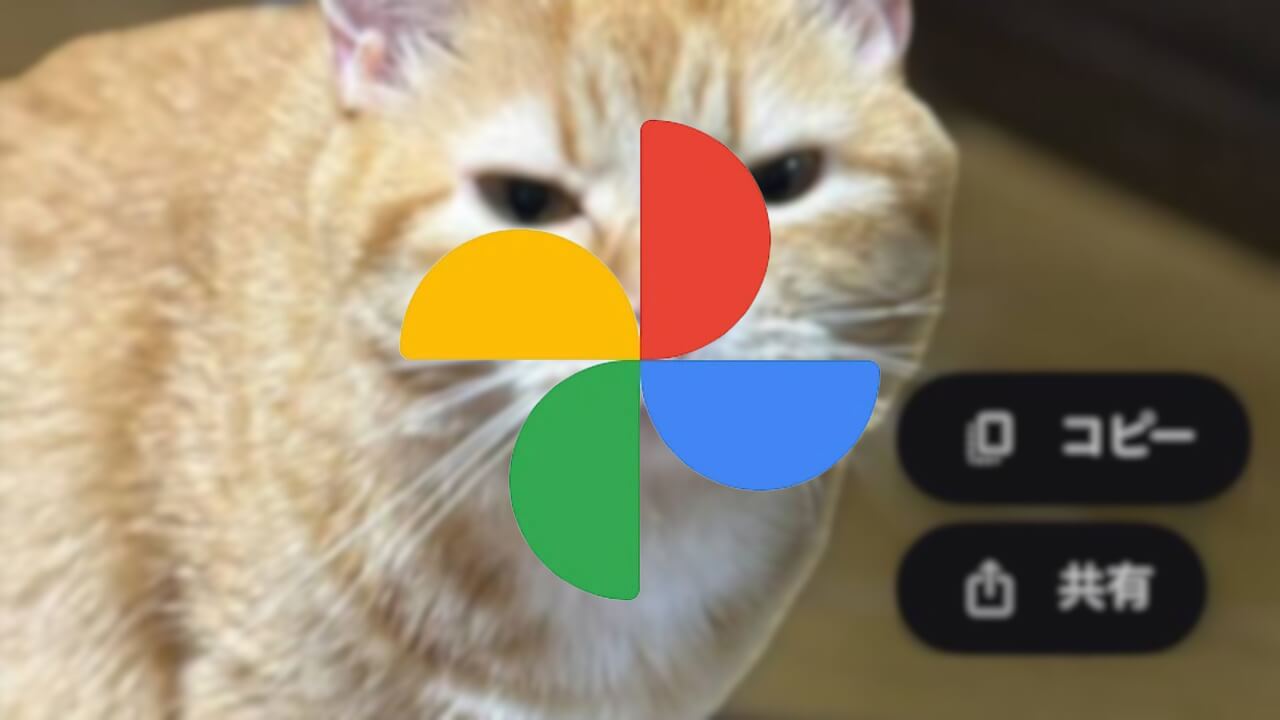 iOS Google Photos