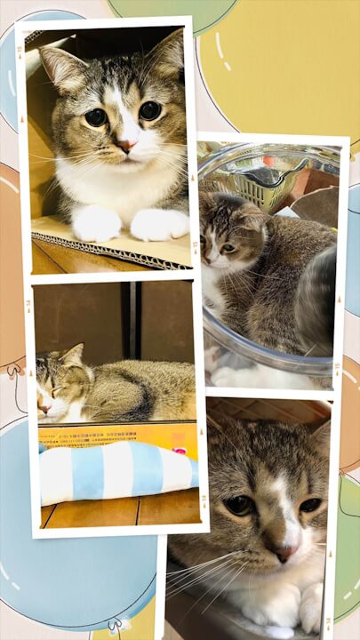 Google Photos