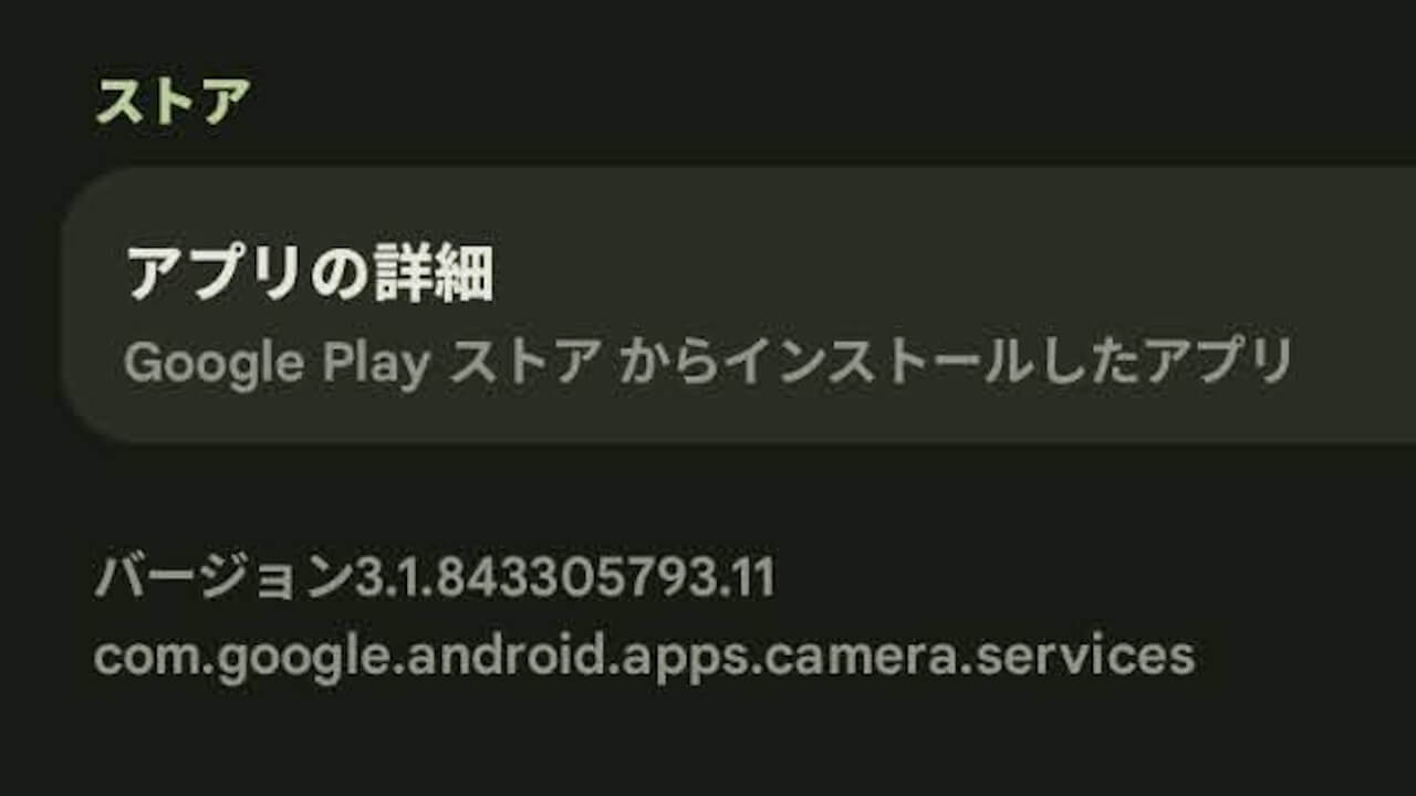 Pixel Camera Services