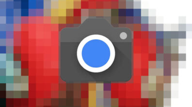 Pixel Camera bison