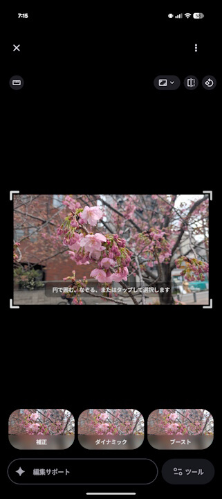 Android Google Photos