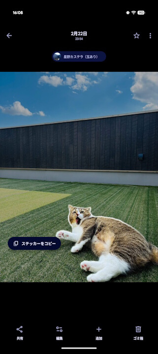 Android Google Photos