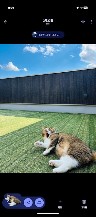 Android Google Photos