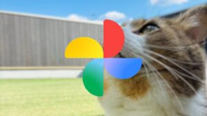 Android Google Photos