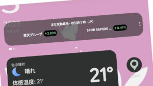 Google Pixe SnapShot