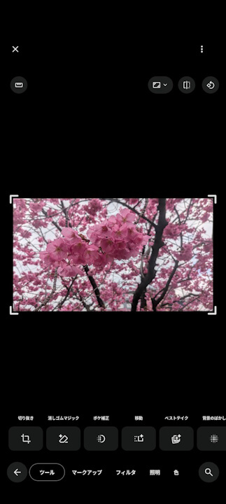 Android Google Photos