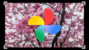 Android Google Photos