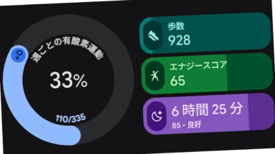 Fitbit Personal Health Coach
