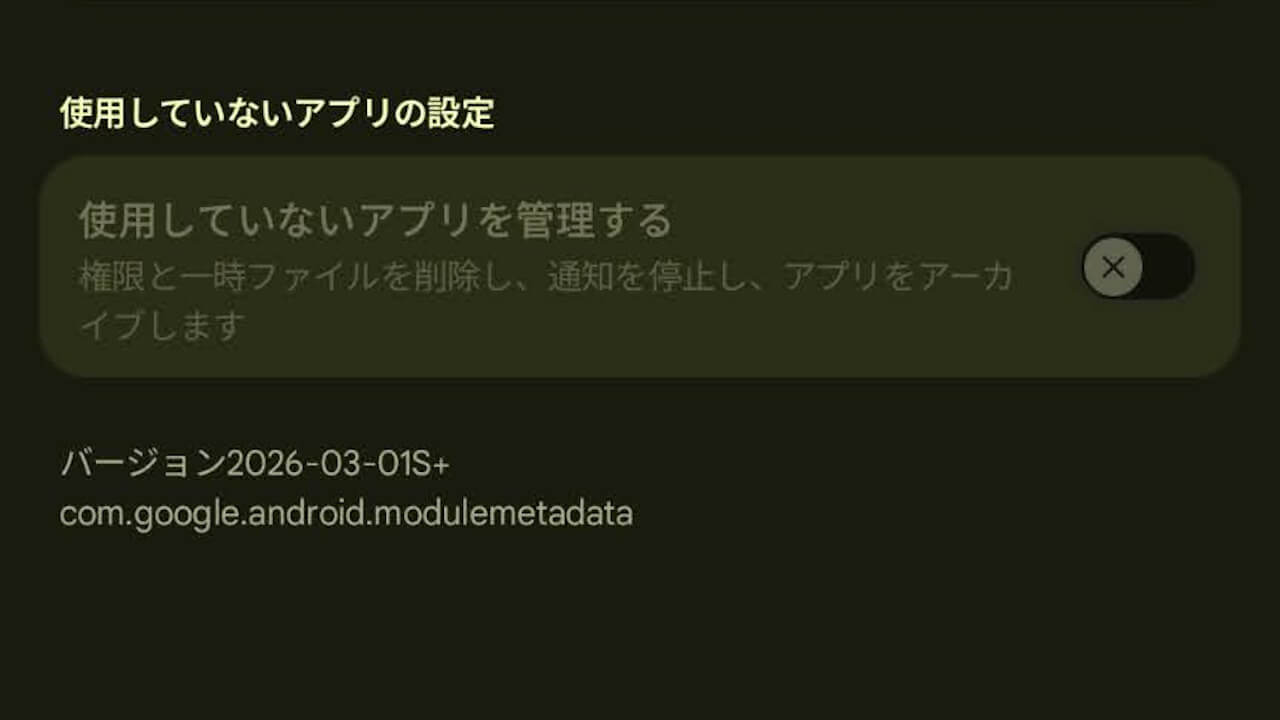 Google Play System Updat