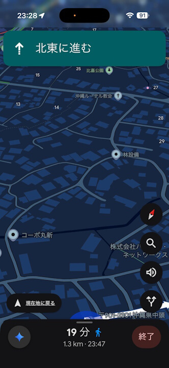 IOS Google Maps