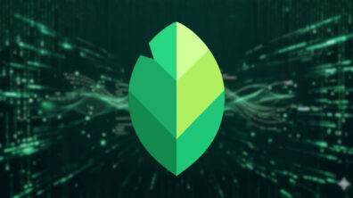 Snapseed app-teardown