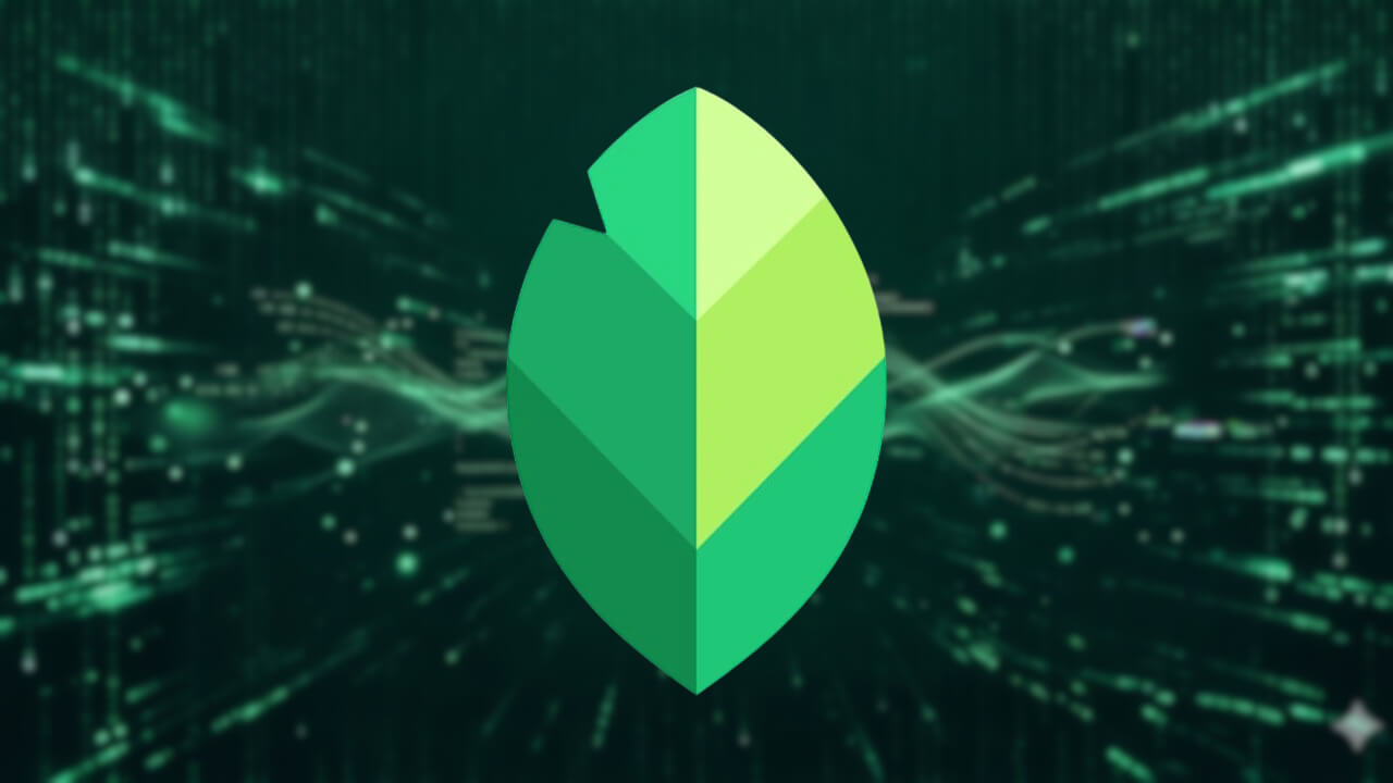 Snapseed app-teardown