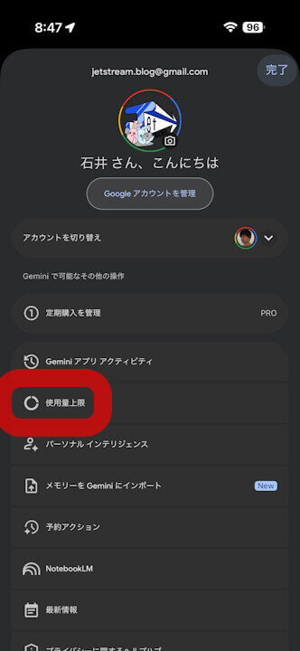 iOS Gemini Usage