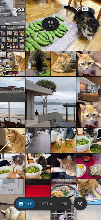 iOS Google Photos