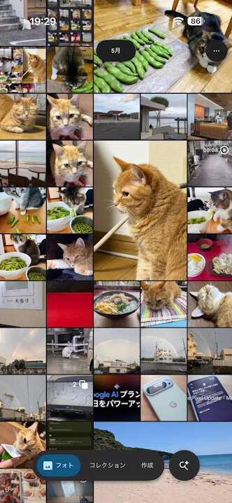 iOS Google Photos