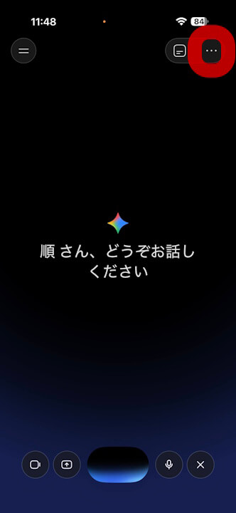Gemini