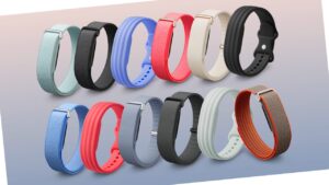 Google Fitbit Air