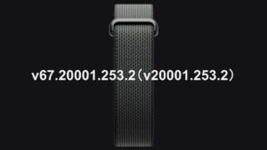 Fitbit Air