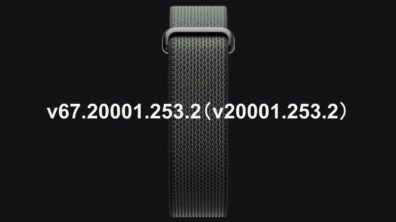Fitbit Air