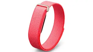 Google Fitbit Air Berry