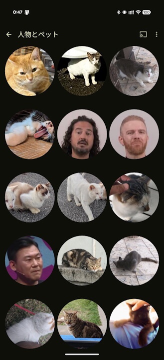 Google Photos Face Group