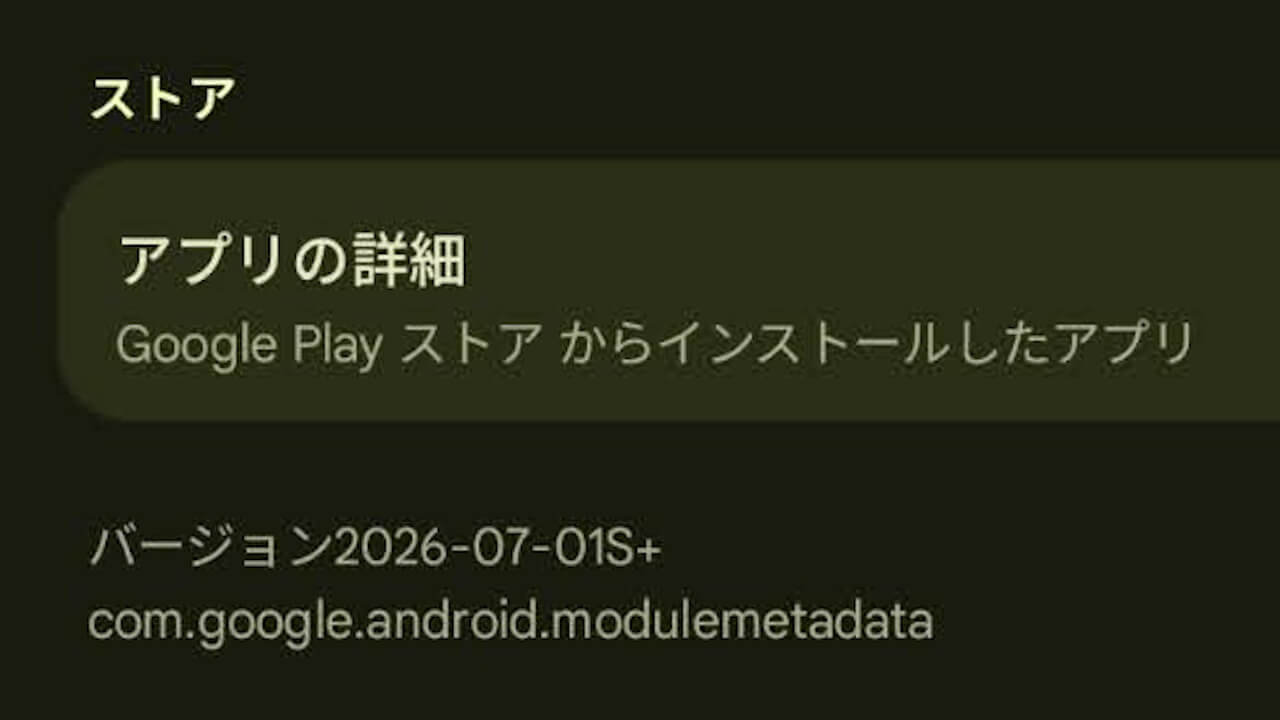 Google-Play-System-Update-4