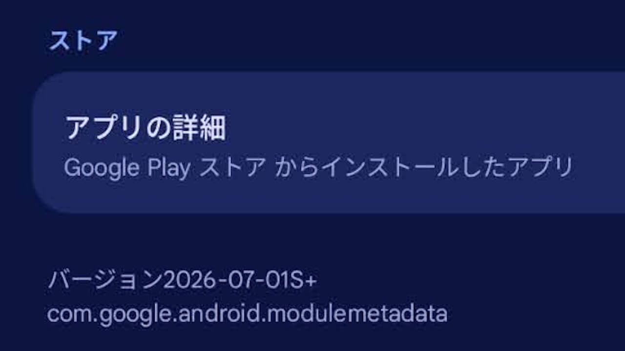 Google Play System Update