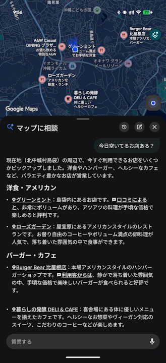 Ask Maps