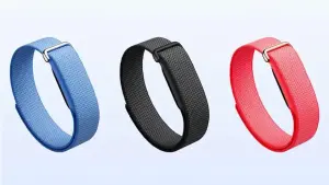 Google Fitbit Air