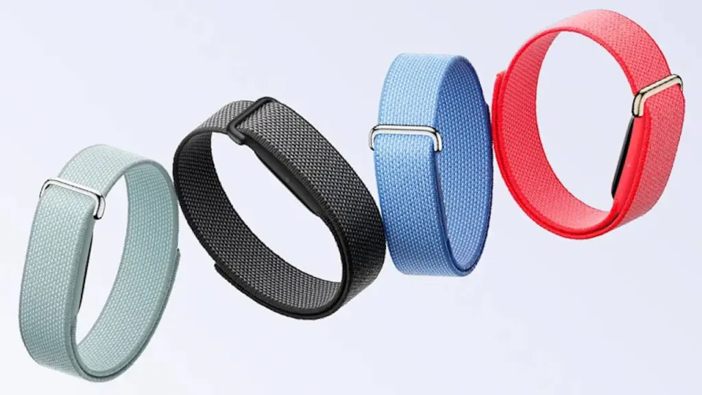 Google Fitbit Air