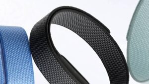 Google Fitbit Air