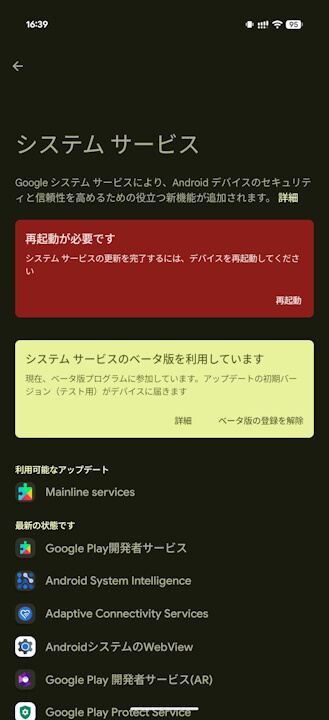 Google Play System Update