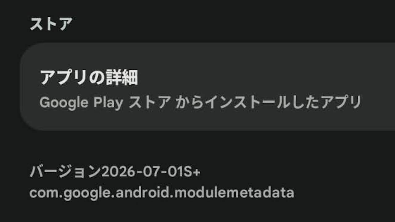 Google Play System Update-4