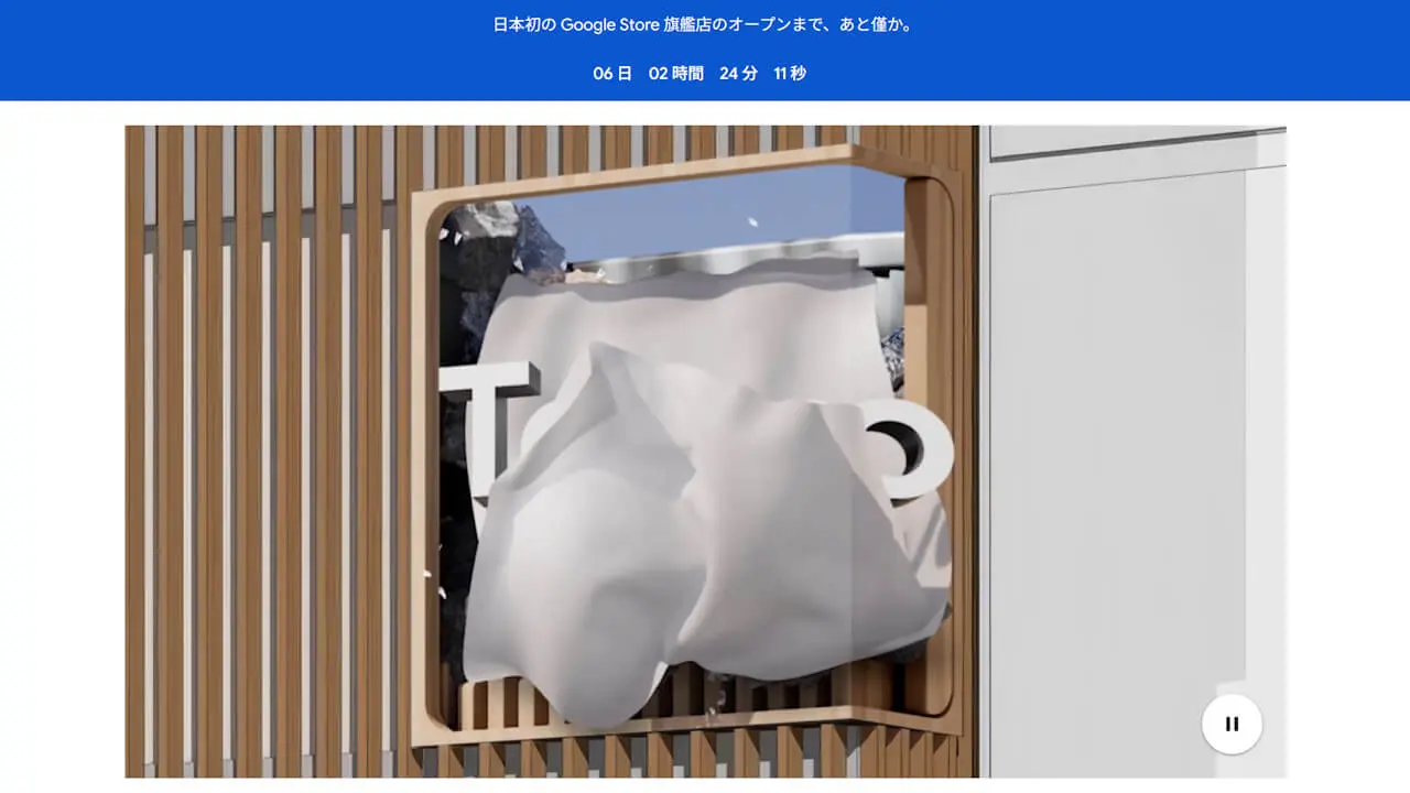 Google Store