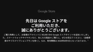 Google Store Point
