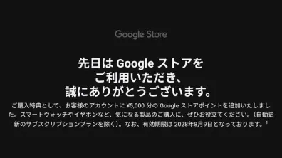 Google Store Point