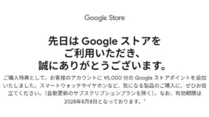 Google Store Point